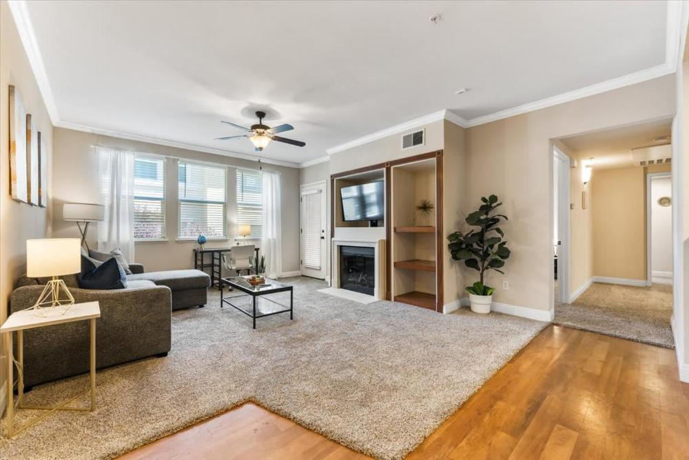 Apartment interior